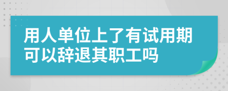 用人单位上了有试用期可以辞退其职工吗