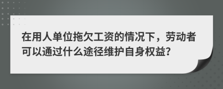 在用人单位拖欠工资的情况下，劳动者可以通过什么途径维护自身权益？