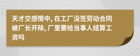 天才交感情中, 在工厂没签劳动合同被厂长开除, 厂里要给当事人结算工资吗