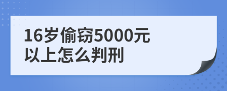 16岁偷窃5000元以上怎么判刑
