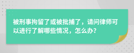 被刑事拘留了或被批捕了，请问律师可以进行了解哪些情况，怎么办？