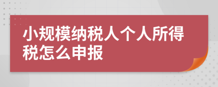 小规模纳税人个人所得税怎么申报