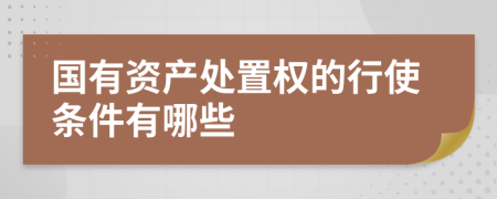 国有资产处置权的行使条件有哪些