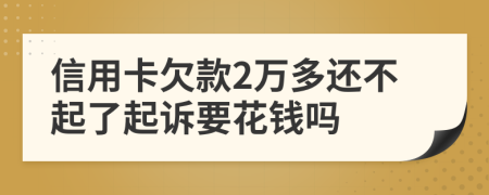 信用卡欠款2万多还不起了起诉要花钱吗