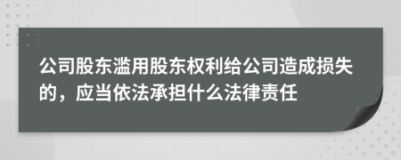 公司股东滥用股东权利给公司造成损失的，应当依法承担什么法律责任