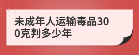 未成年人运输毒品300克判多少年