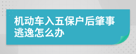 机动车入五保户后肇事逃逸怎么办