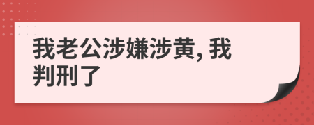 我老公涉嫌涉黄, 我判刑了