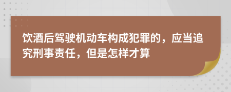 饮酒后驾驶机动车构成犯罪的，应当追究刑事责任，但是怎样才算