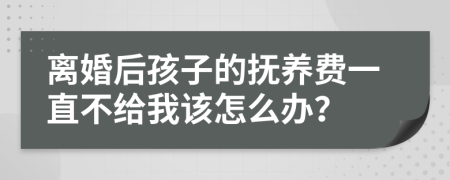 离婚后孩子的抚养费一直不给我该怎么办？