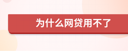 为什么网贷用不了