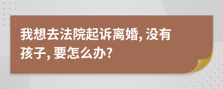 我想去法院起诉离婚, 没有孩子, 要怎么办?