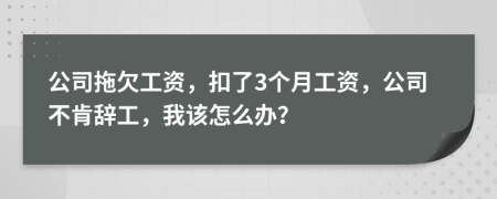 公司拖欠工资，扣了3个月工资，公司不肯辞工，我该怎么办？