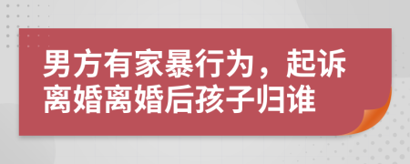 男方有家暴行为，起诉离婚离婚后孩子归谁