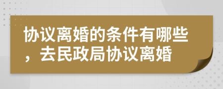 协议离婚的条件有哪些，去民政局协议离婚