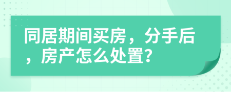 同居期间买房，分手后，房产怎么处置？