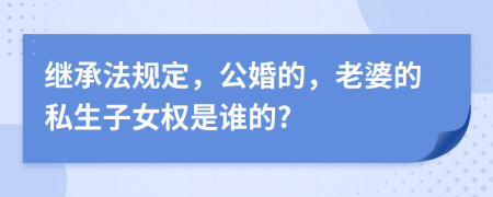 继承法规定，公婚的，老婆的私生子女权是谁的?