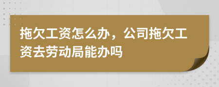 拖欠工资怎么办，公司拖欠工资去劳动局能办吗