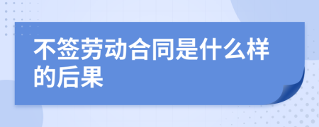 不签劳动合同是什么样的后果