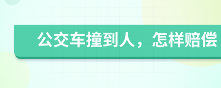 公交车撞到人，怎样赔偿