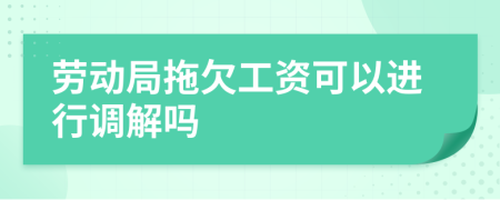 劳动局拖欠工资可以进行调解吗