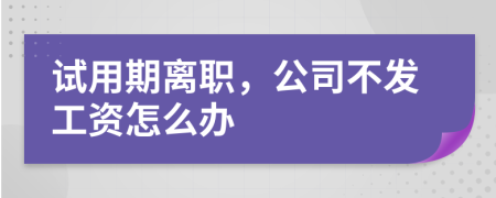 试用期离职，公司不发工资怎么办