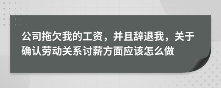 公司拖欠我的工资，并且辞退我，关于确认劳动关系讨薪方面应该怎么做