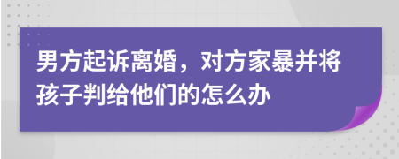男方起诉离婚，对方家暴并将孩子判给他们的怎么办