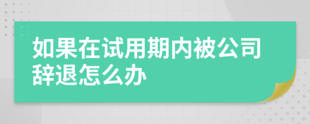 如果在试用期内被公司辞退怎么办