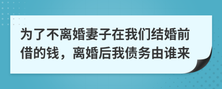 为了不离婚妻子在我们结婚前借的钱，离婚后我债务由谁来