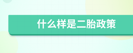 什么样是二胎政策