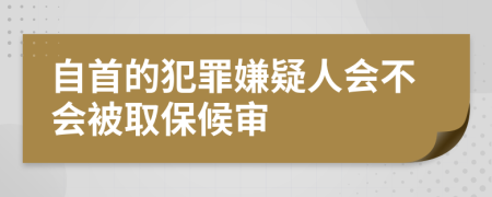 自首的犯罪嫌疑人会不会被取保候审