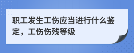 职工发生工伤应当进行什么鉴定，工伤伤残等级