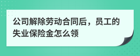 公司解除劳动合同后，员工的失业保险金怎么领