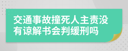 交通事故撞死人主责没有谅解书会判缓刑吗