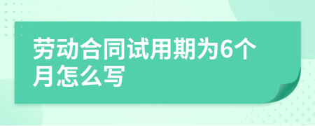 劳动合同试用期为6个月怎么写