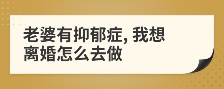 老婆有抑郁症, 我想离婚怎么去做