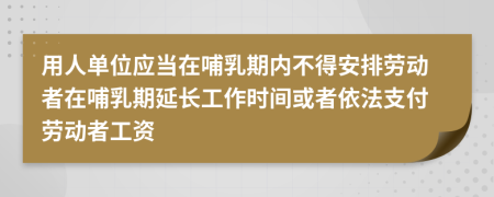 用人单位应当在哺乳期内不得安排劳动者在哺乳期延长工作时间或者依法支付劳动者工资