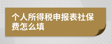 个人所得税申报表社保费怎么填