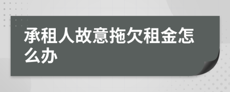 承租人故意拖欠租金怎么办