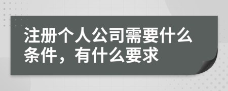 注册个人公司需要什么条件，有什么要求