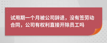 试用期一个月被公司辞退，没有签劳动合同，公司有权利直接开除员工吗