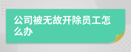 公司被无故开除员工怎么办