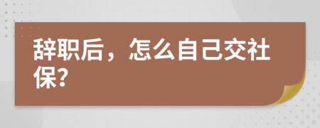 辞职后，怎么自己交社保？