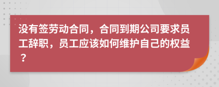 没有签劳动合同，合同到期公司要求员工辞职，员工应该如何维护自己的权益？