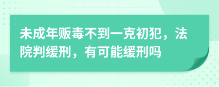 未成年贩毒不到一克初犯，法院判缓刑，有可能缓刑吗