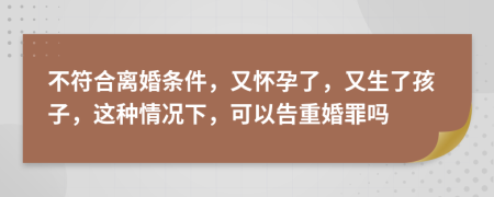 不符合离婚条件，又怀孕了，又生了孩子，这种情况下，可以告重婚罪吗