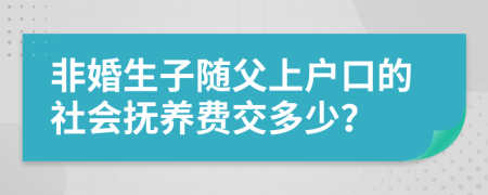 非婚生子随父上户口的社会抚养费交多少？
