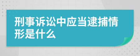 刑事诉讼中应当逮捕情形是什么