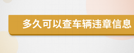 多久可以查车辆违章信息